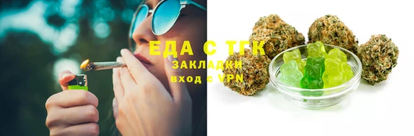 твердый Заводоуковск