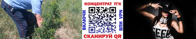 Дистиллят ТГК гашишное масло  Купить  Гусев 