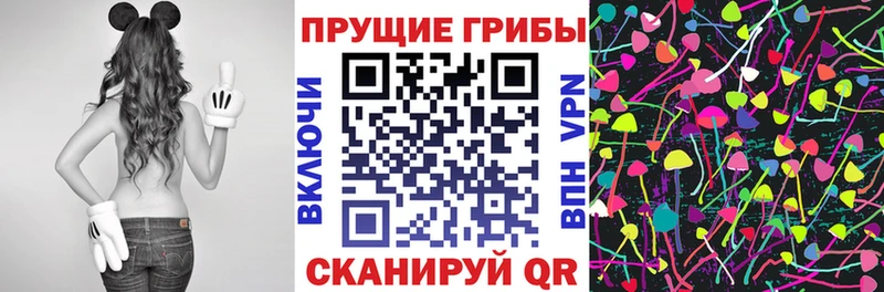 Псилоцибиновые грибы GOLDEN TEACHER Купить закладки Гусев